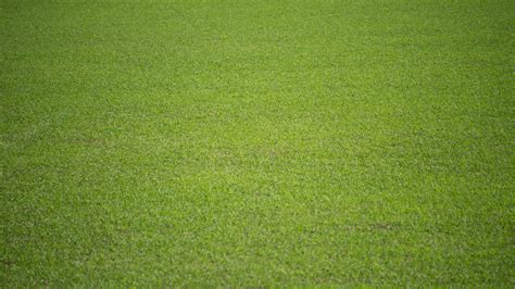 green football pitch background
